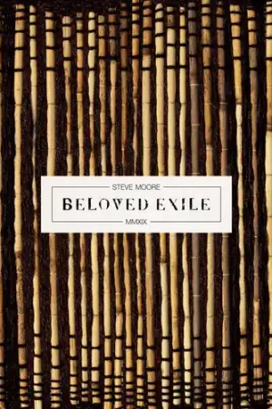 Beloved Exile (Indie Exclusive) [Clear Vinyl] (Pnk) [Indie Exclusive] Modern