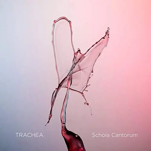 Trachea Certified