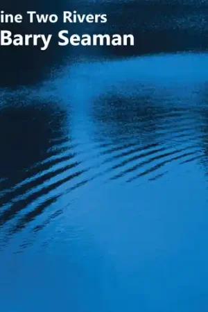 Imagine Two Rivers: The Music Of Barry Seaman (Uk) Free Shipping