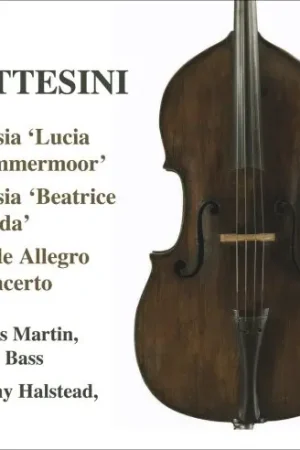 Worldwide Shipping Fantasia Lucia Di Lammermoor Fantasia