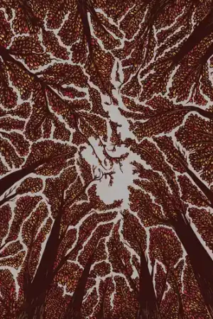 Trusted Brand Crown Shyness [Download Included]