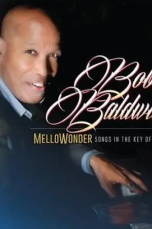 Flash Sale Mellowonder- Songs In The Key Of Stevie