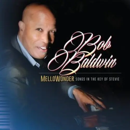 Flash Sale Mellowonder- Songs In The Key Of Stevie