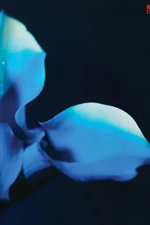 Buy Today Birthmarks (Blue) [Colored Vinyl]