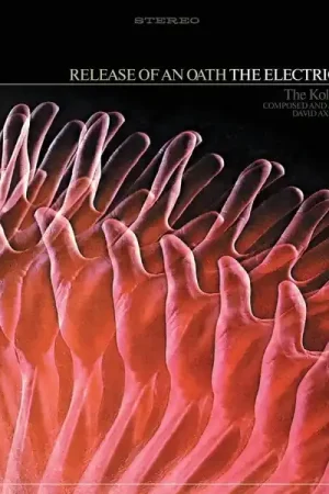 Electric Prunes - Release of an Oath (LP) Best Seller