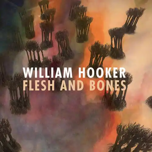 William Hooker - Flesh and Bones (LP) Editor’s Pick
