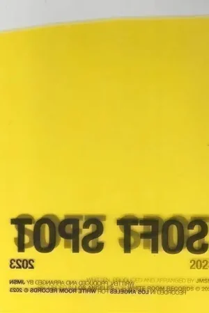 Sale Jmsn - Soft Spot (LP)