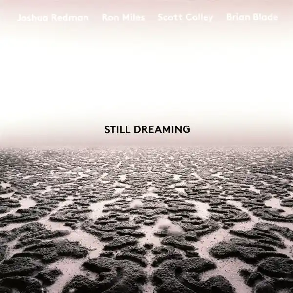 Free Shipping Joshua Redman - Still Dreaming (LP)