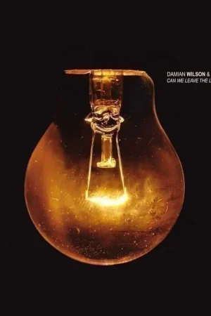 Don’t Miss Out Damian & Adam Wakeman Wilson - Can We Leave the Light On Longer? (LP)