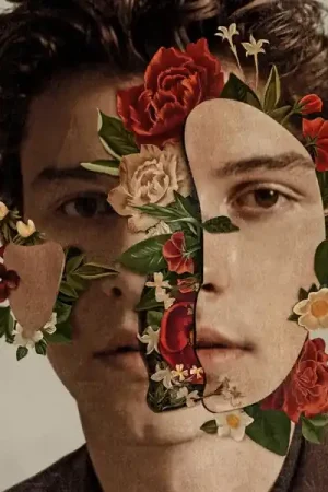 Special Offer Shawn Mendes - Shawn Mendes (LP)