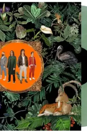 Last Chance Don Broco - Amazing Things (LP)