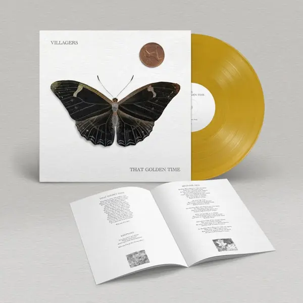 Villagers - That Golden Time (LP) Wholesale