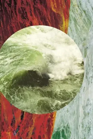 Fresh Stock Cassie Kinoshi's Seed. - Gratitude (LP)
