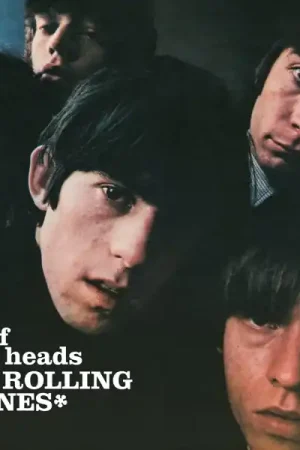 Rolling Stones - Out of Our Heads (LP) Bargain