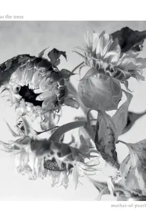 And Also the Trees - Mother-of-Pearl Moon (LP) Direct From Factory
