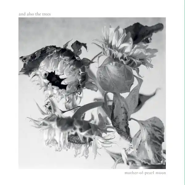 And Also the Trees - Mother-of-Pearl Moon (LP) Direct From Factory