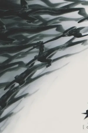 Direct From Manufacturer Erra - Cure (LP)