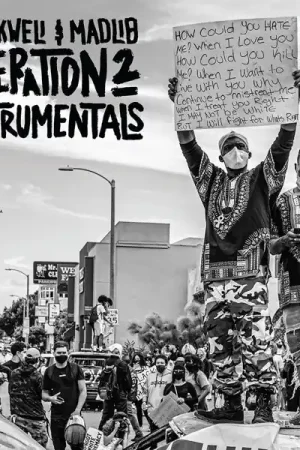 Secure Checkout Madlib - Liberation 2 Instrumentals (2 LPs)