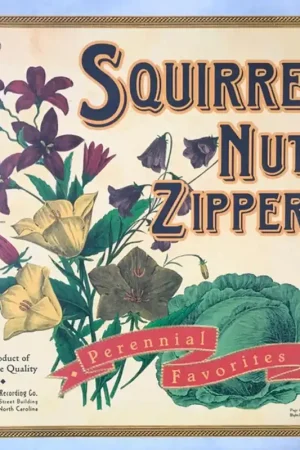 Shop Now Squirrel Nut Zippers - Perennial Favorites (LP)