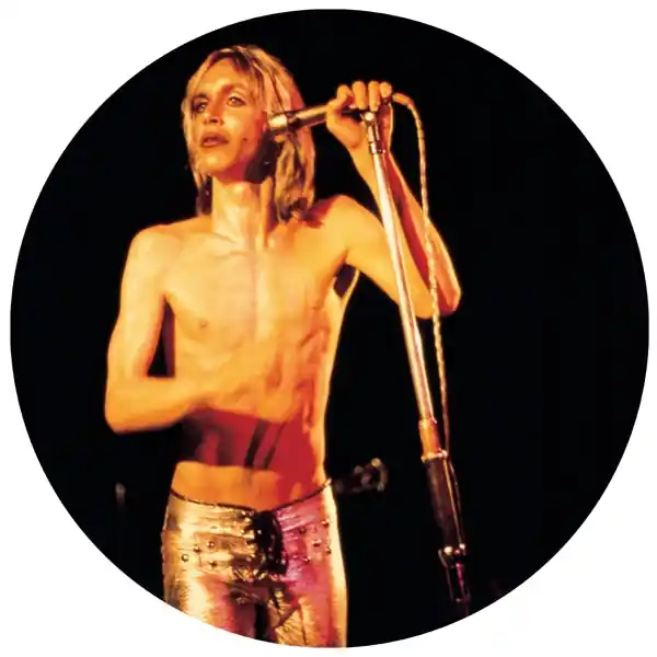 Weekend Sale Iggy & the Stooges - More Power (2 LPs)