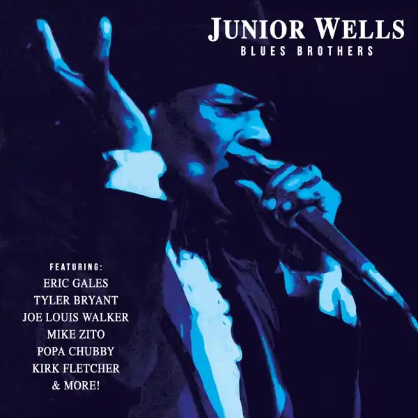 Factory Price Junior Wells - Blues Brothers (LP)
