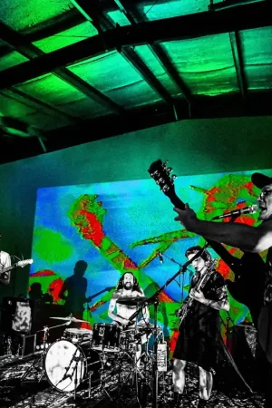 Certified Frankie and the Witch Fingers - Levitation Sessions (LP)