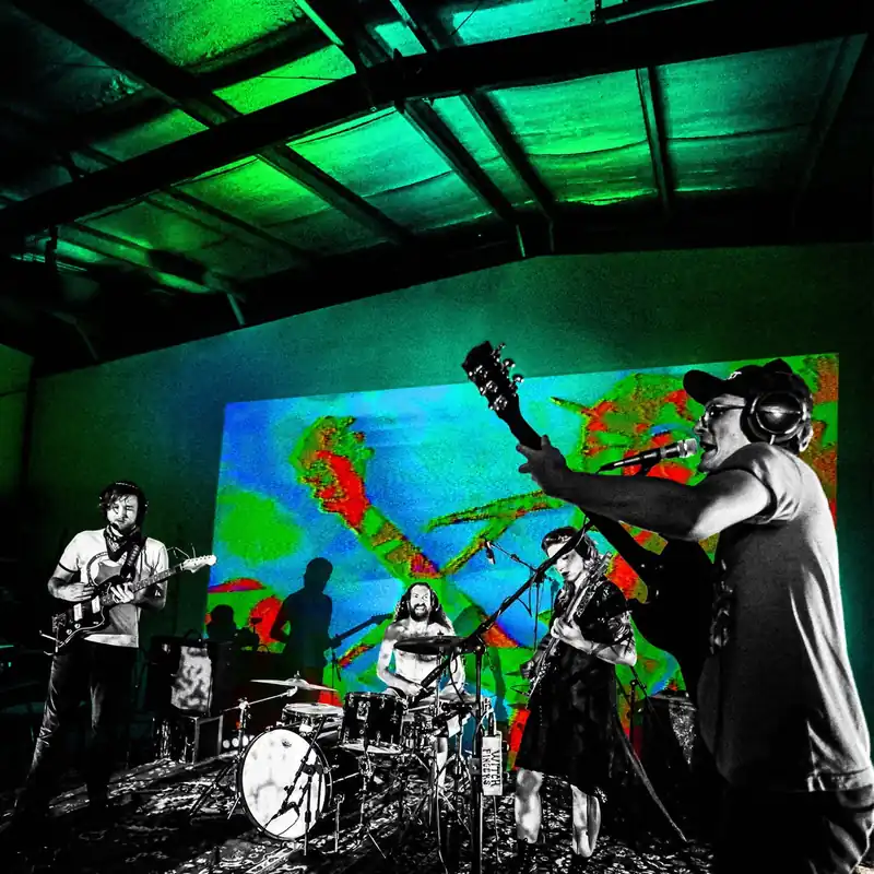 Certified Frankie and the Witch Fingers - Levitation Sessions (LP)