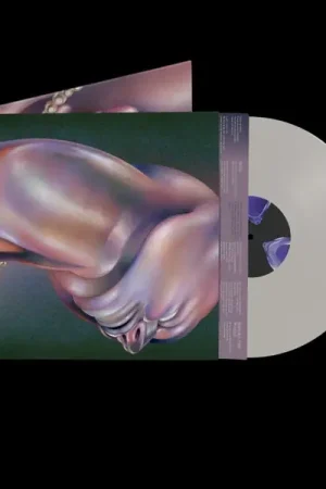Walt Disco - The Warping (LP) Bargain