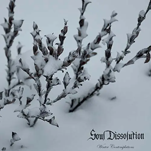 Free Returns Soul Dissolution - Winter Contemplations (Single)