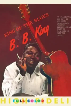 Budget B. B. King - King of the Blues (LP)
