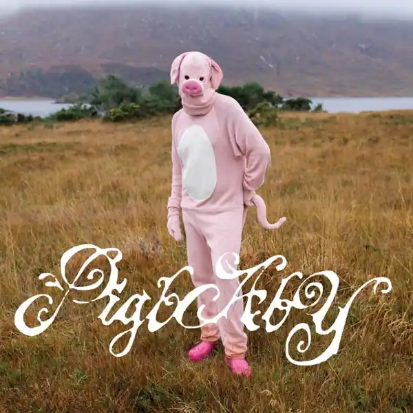 Pigbaby - I Don T Care If Anyone Listens To This Shit Once You Do (LP) While Supplies Last