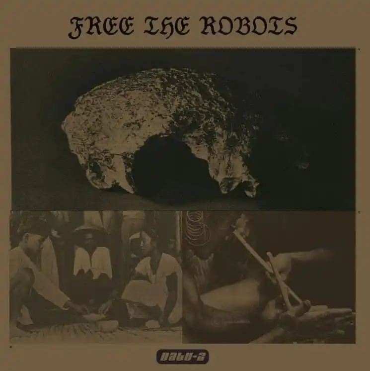 Factory Price Free the Robots - Datu 2 (LP)
