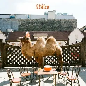Wilco - Wilco (the Album) (2 LPs) Mega Sale