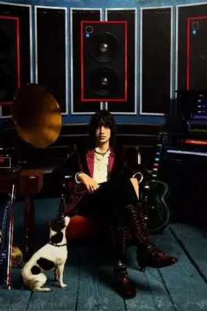 Julian Casablancas - Phrazes For the Young (LP) Shop Now