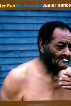 Junior Kimbrough - You Better Run: the Essentials (LP) Super Sale