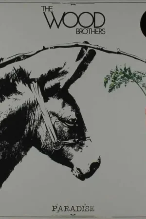Fresh Stock Wood Brothers - Paradise (LP)