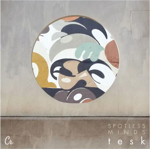 Tesk - Spotless Minds (LP) One Day Deal