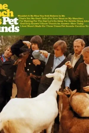 Buy Online Beach Boys - Pet Sounds (LP)