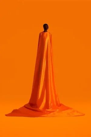Wholesale Wayne Snow - Figurine (LP)