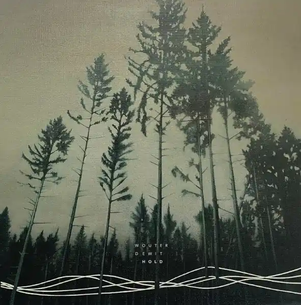 Wouter Dewit - Hold (LP) Limited Offer