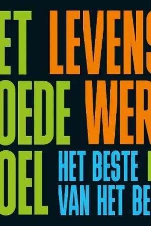 Limited Edition Het Goede Doel - Levenswerk (Het Beste Van Het Beste) (2 LPs)