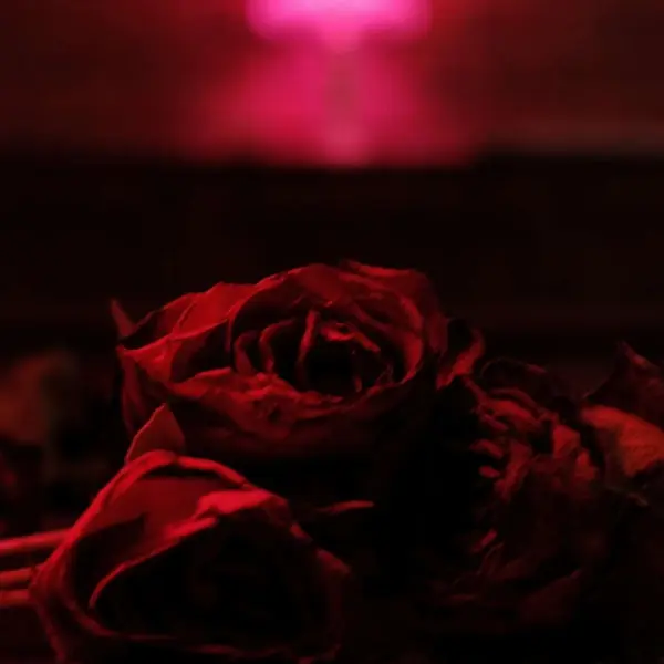 Best Seller Paper Kites - Roses (LP)