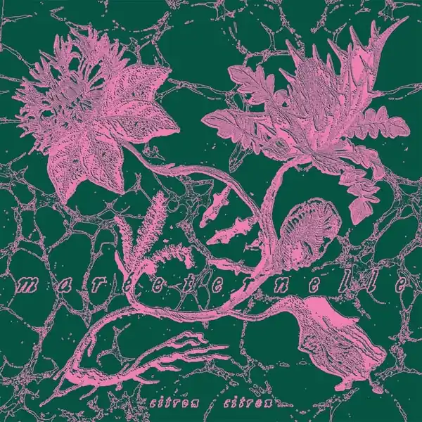 Editor’s Pick Citron Citron - Mareeternelle (LP)