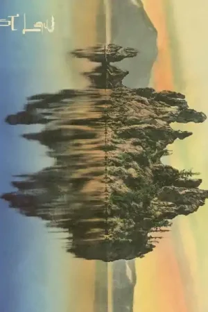 Affordable Forest Law - Zero (LP)