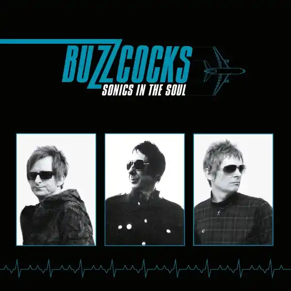 Reduced Price Buzzcocks - Sonics In the Soul (LP)