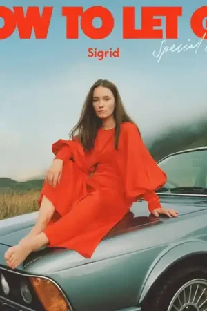 Budget Sigrid - How To Let Go (2 LPs)