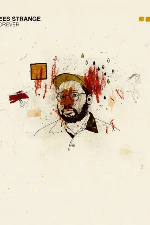 Buy Online Bartees Strange - Live Forever (LP)