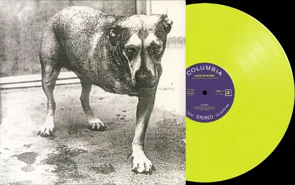 Alice In Chains - Alice In Chains (2 LPs) Sale