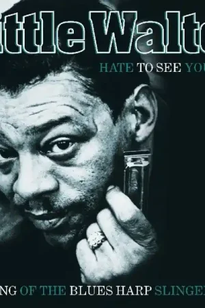 Certified Muddy Waters Little Walter W. Baby Face Leroy - Hate To See You Go (LP)