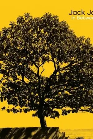 Jack Johnson - In Between Dreams (LP) Luxury